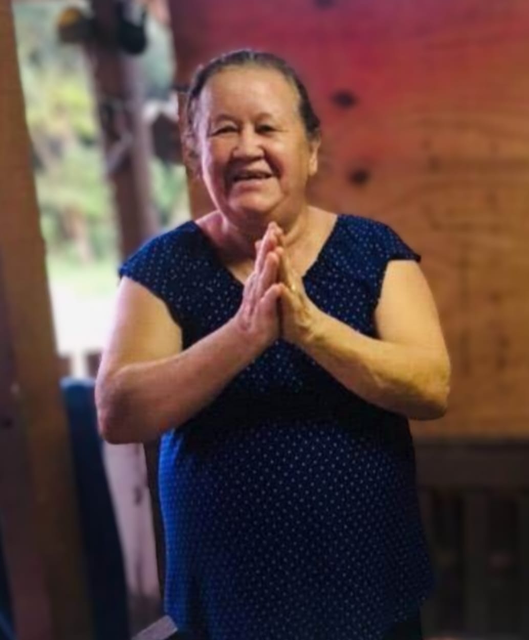 SRA GENEZI DE LIMA GROCHOVSKI