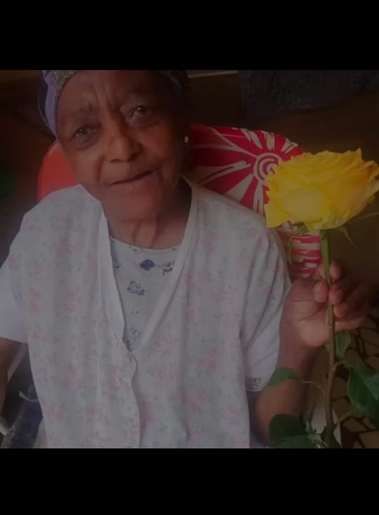 JULIA DOS SANTOS NEVES