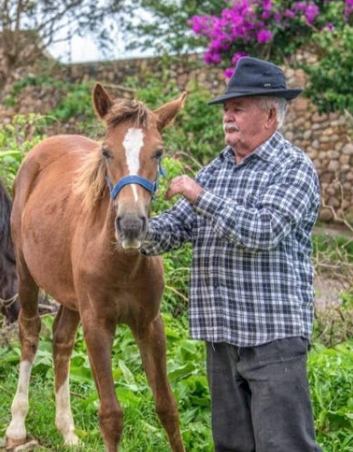 JOSE FERMINO DE TOLEDO (MINEIRINHO)