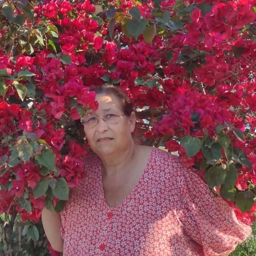 NADIR CORDEIRO GOMES