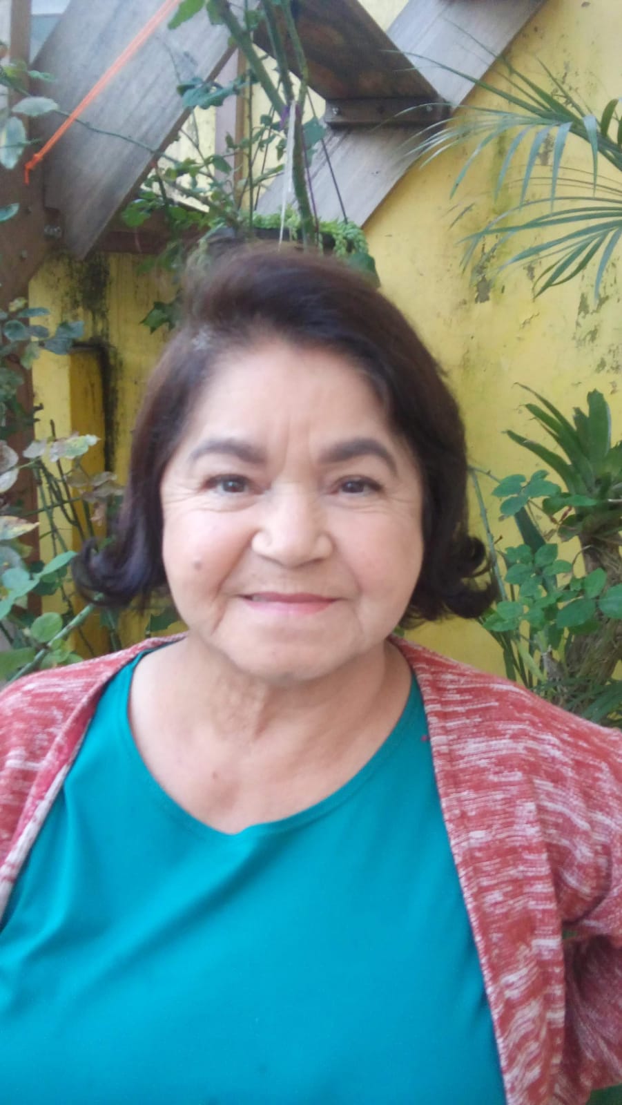 VERONICA LIMA PEREIRA BASTOS