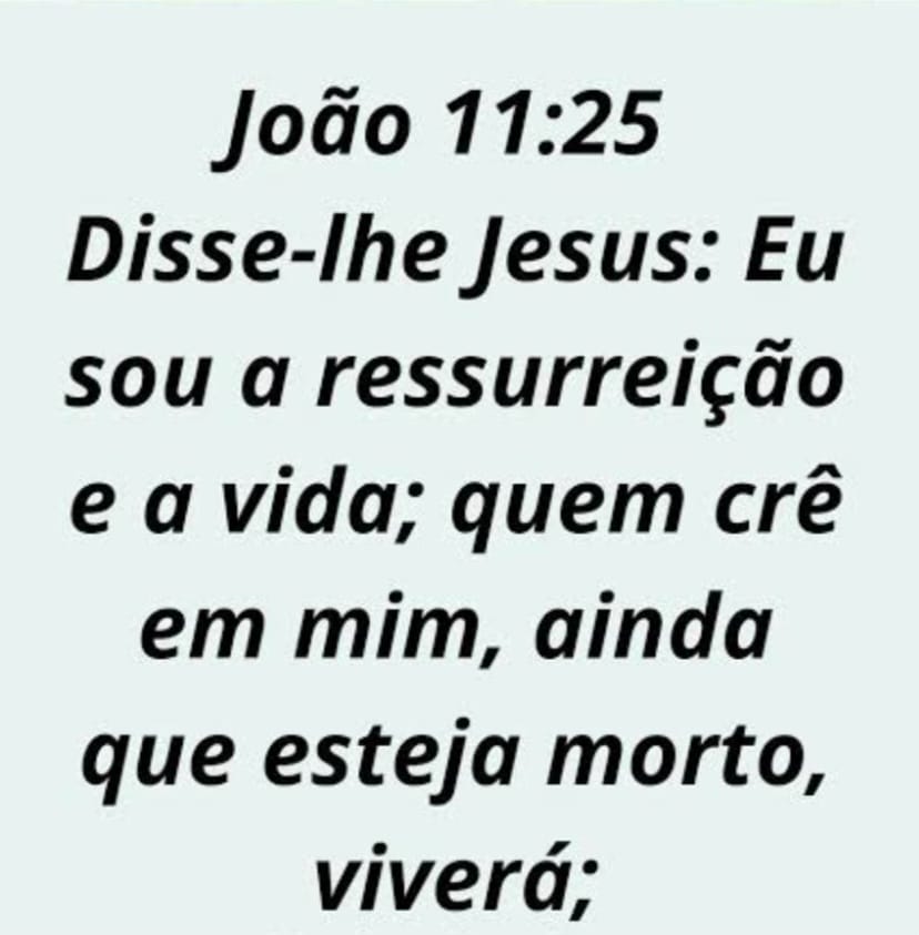 SANTINA ROZA RIBEIRO DE FARIAS