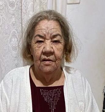 NAIR FERMINO DE LIMA