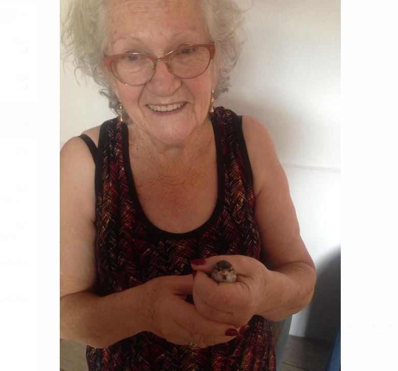 ORILDA MARGARIDA ROSSA