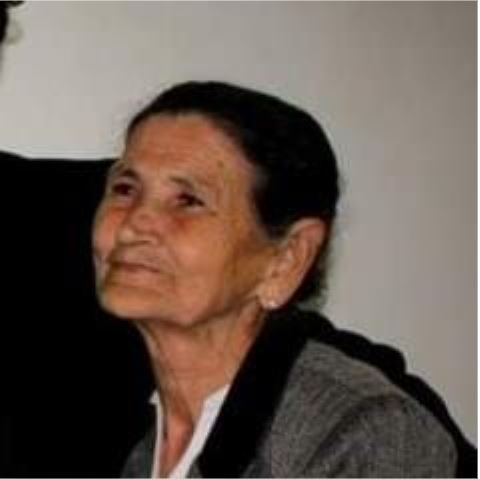 TEREZINHA DE JESUS FIGUEIREDO