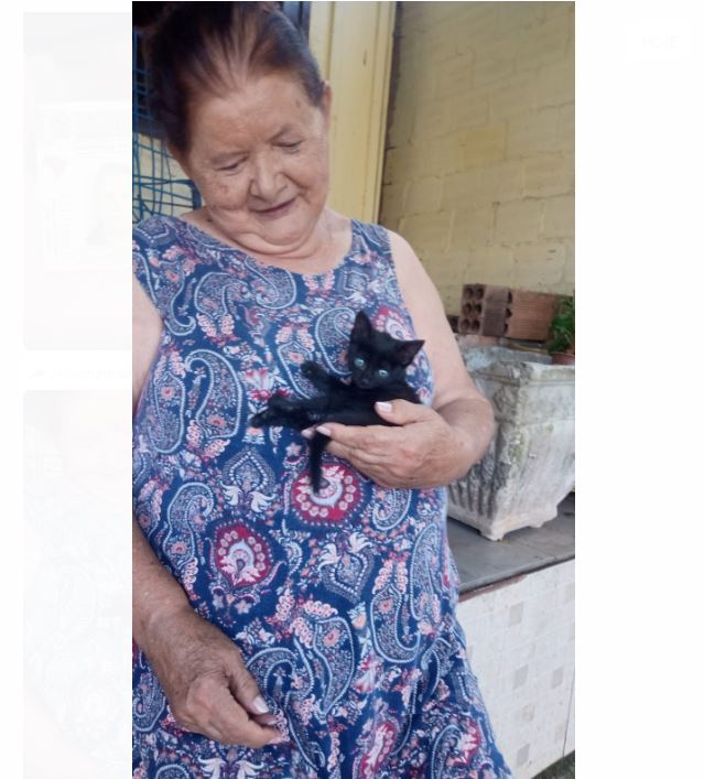 NORMA TEREZINHA GALVAO ANTONIO