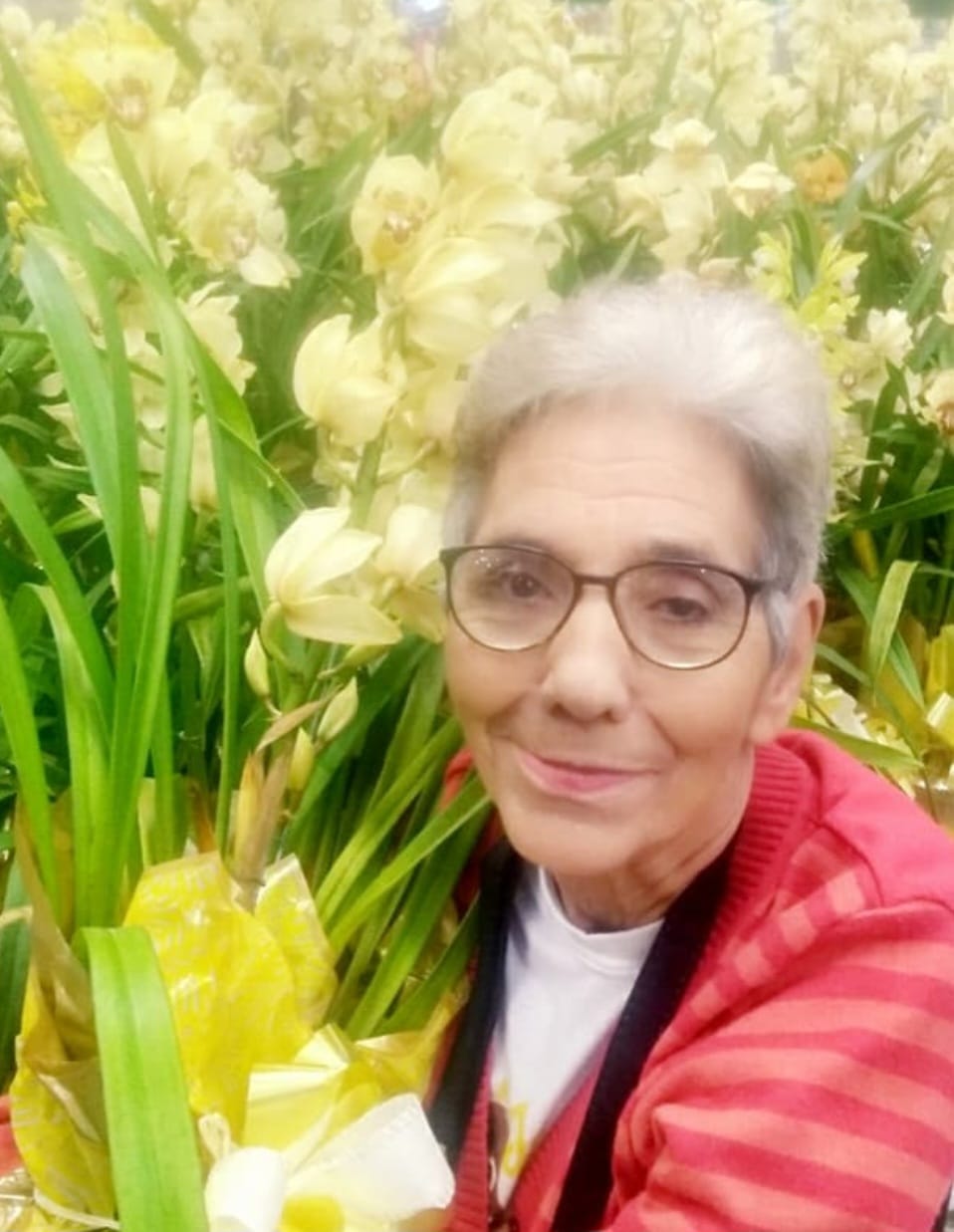 MARIA APARECIDA HENRIQUE DA SILVA